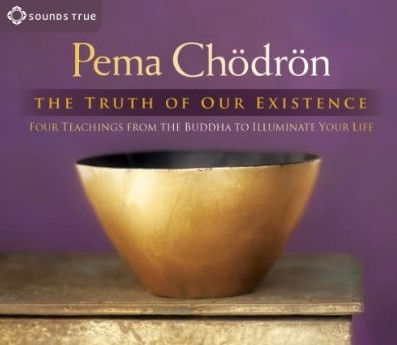 The Truth of Our Existence: Four Teachings from the Buddha to Illuminate Your Life (Audiobook)