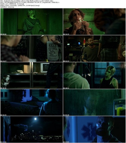 The Scribbler (2014) 720p BluRay DD5 1 x264-CRiSC