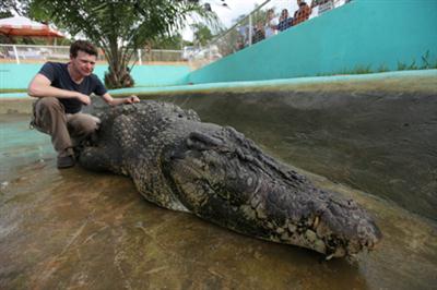 Monster Croc Hunt HDTV XviD-AFG