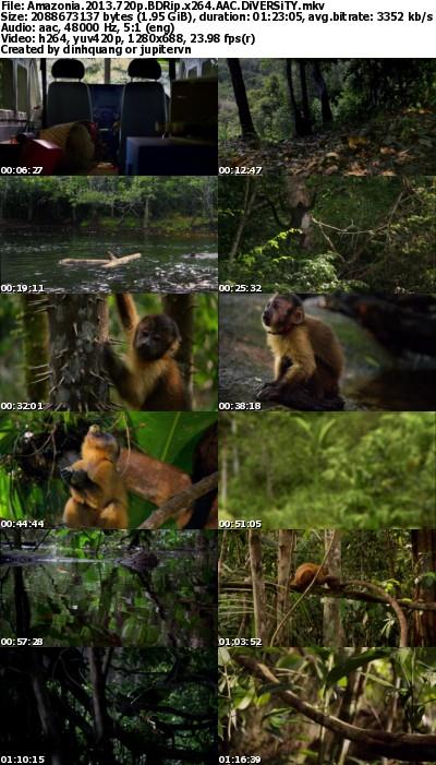 Amazonia (2013) 720p BDRip AAC x264 - DiVERSiTY