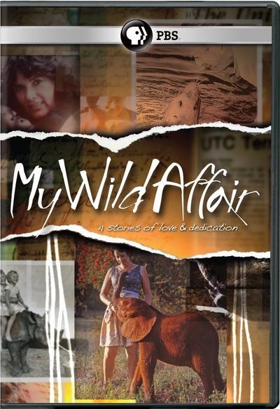 PBS - My Wild Affair 1of4 The Elephant Who Found a Mom (2014) HDTV 720p AAC x264 - MVGroup