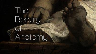 BBC - The Beauty of Anatomy 2of5 Andreas Vesalius (2014) HDTV 720p AAC x264 - MVGroup