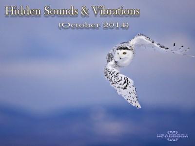 VA - Hidden Sounds & Vibrations (October 2014) [3CD]