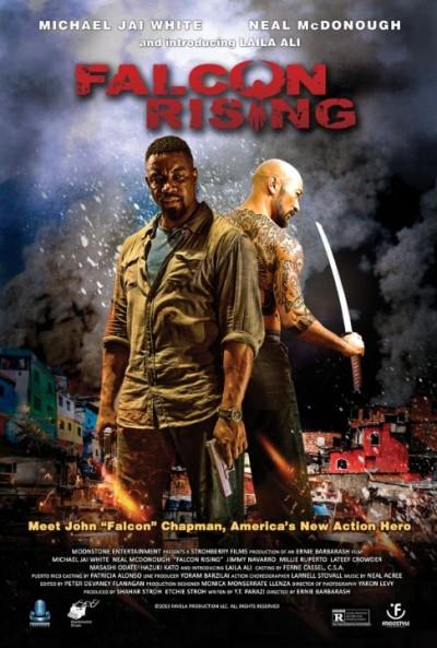 Falcon Rising (2014) LIMITED BRRip XviD-AQOS