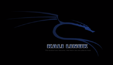 Kali Linux 1.0.9a x86/x64 (Former BackTrack)