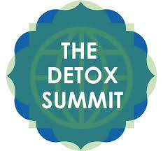 V.A. - The Detox Summit