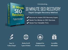 30 Minute SEO Recovery