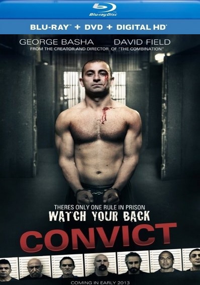 Convict (2014) BRRip XviD AC3 GiANGi
