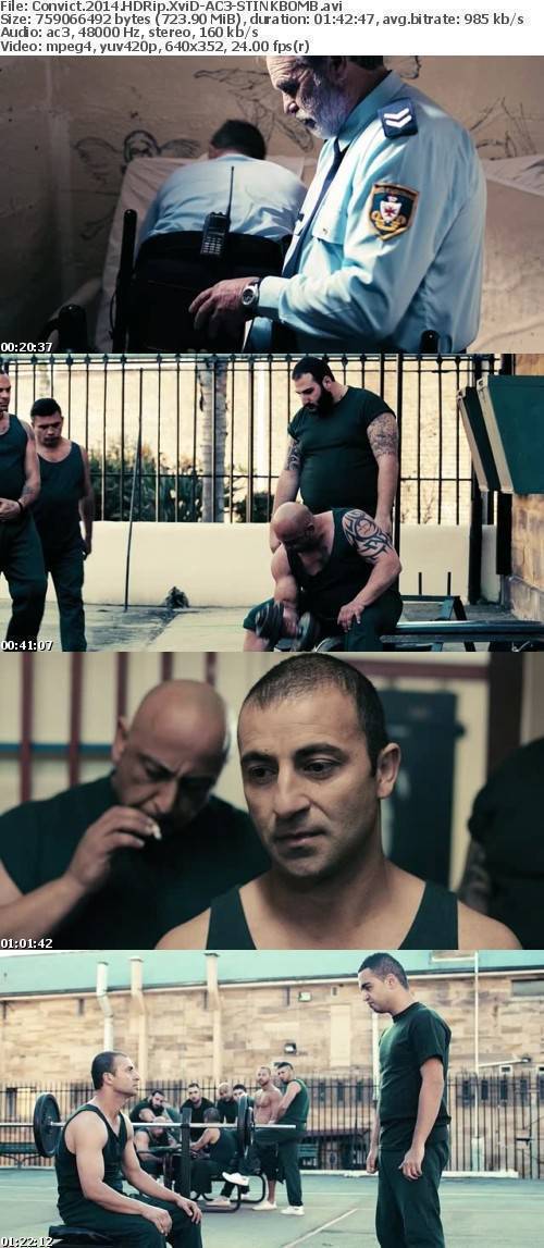 Convict 2014 HDRip XviD-AC3-STINKBOMB