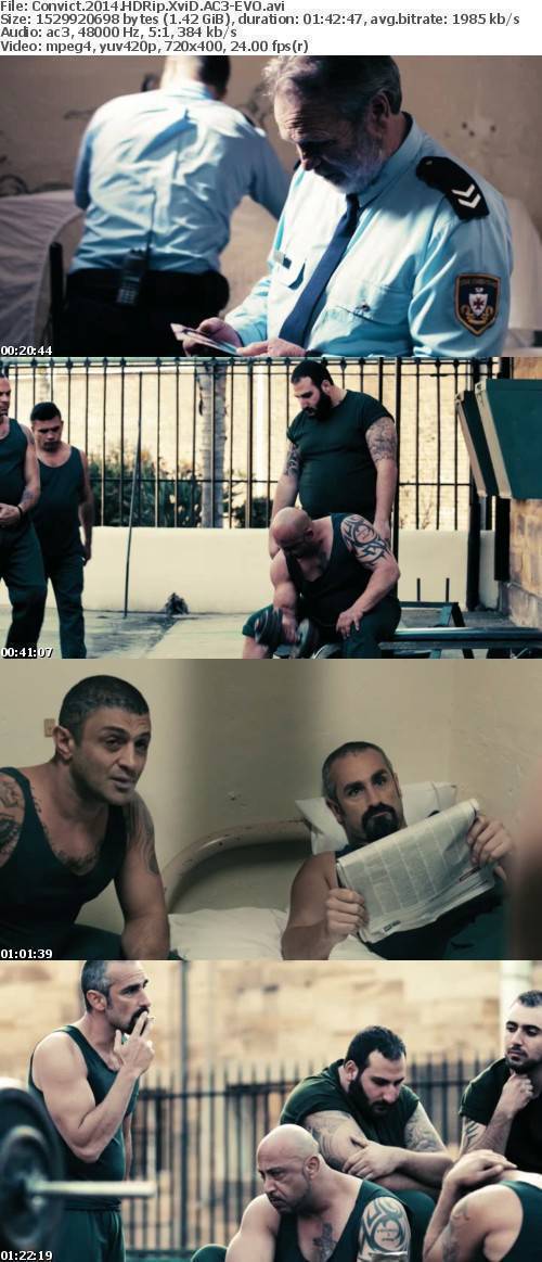 Convict 2014 HDRip XviD AC3-EVO