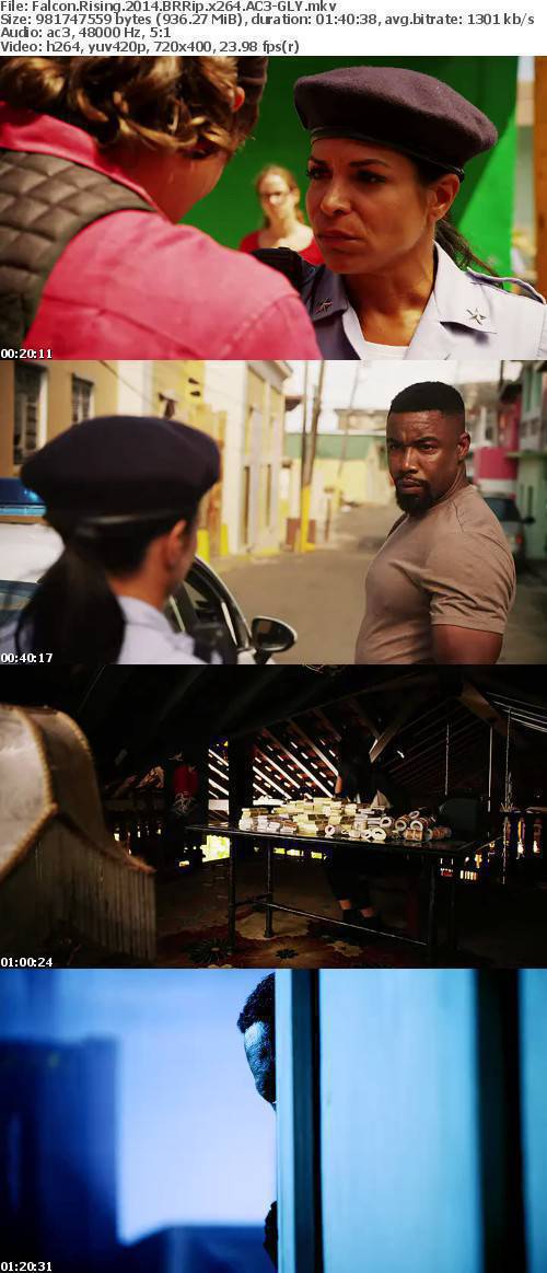 Falcon Rising (2014) BRRip x264 AC3-GLY