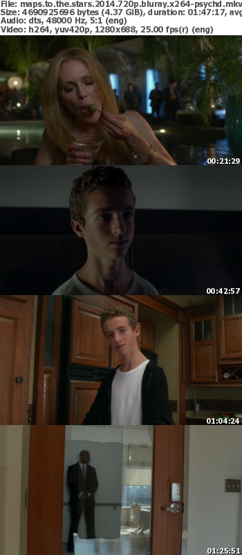 Maps to the Stars (2014) 720p BluRay x264-PSYCHD