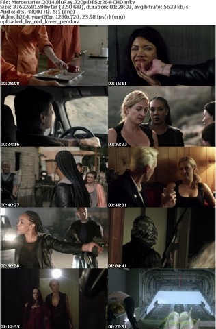 Mercenaries 2014 BluRay 720p DTS x264-CHD