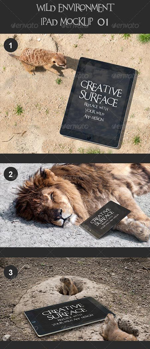 Wild Environment Ipad Mock Up's 01 Wild Environment Ipad Mock Up's 01