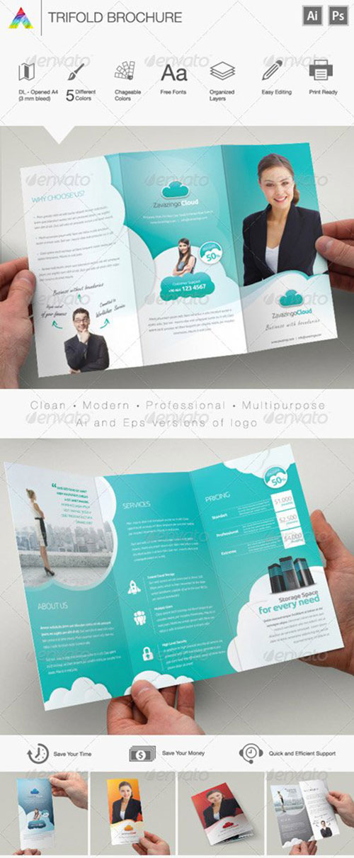 Trifold Brochure 5598676