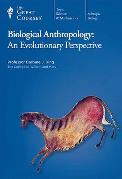 Biological Anthropology: An Evolutionary Perspective (DVDRip)