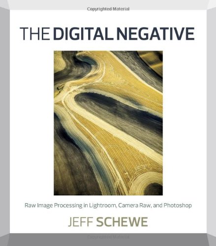 The Digital Negative: Raw Image Processing in Lightroom, Camera Raw, and Photoshop (EPUB)
