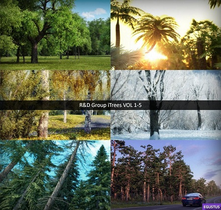 R&D Group iTrees VOL 1-5