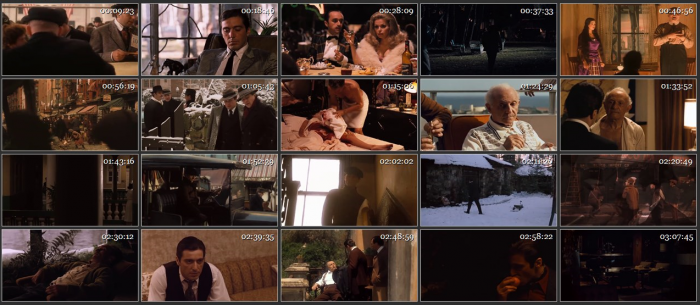 The Godfather 2 (1974) [BRRip 480p] [Hindi-Eng] [Dual Audio]