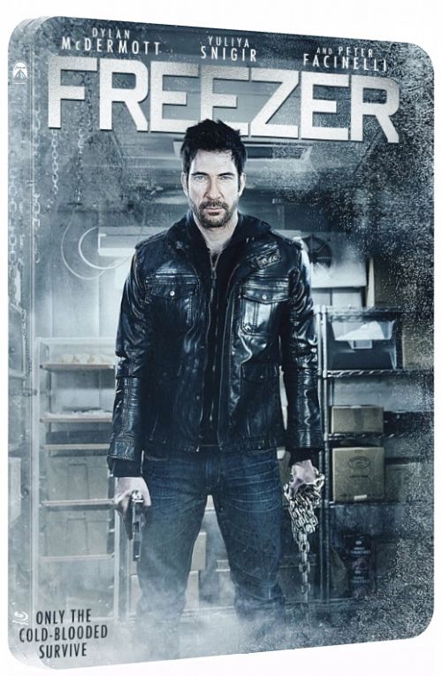 Freezer (2014) BRRip 480p [Dual Audio] [Hindi+English]