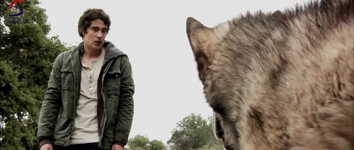 Wolf Town 2011 Hindi Dubbed HDRip 480p 300mb