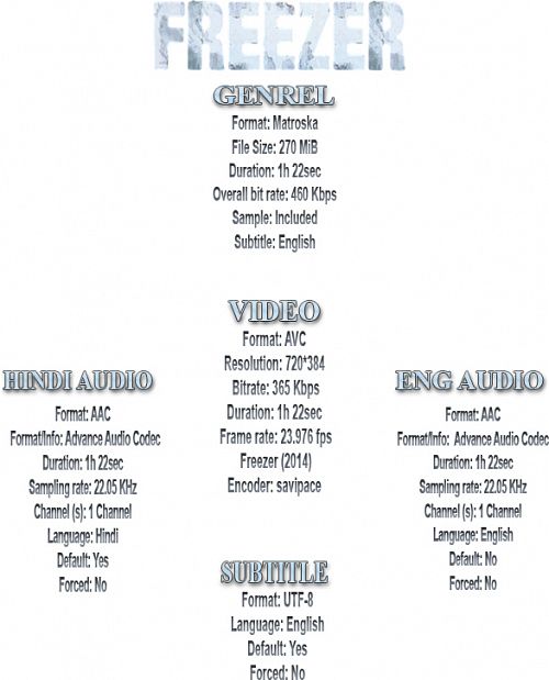 Freezer (2014) BRRip 480p [Dual Audio] [Hindi+English]