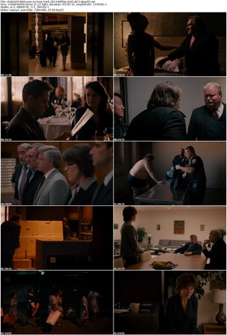 Welcome to New York (2014) BRRip XviD AC3-playXD
