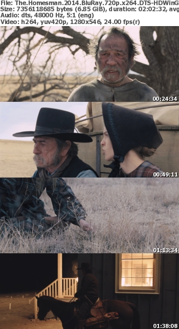 The Homesman (2014) BluRay 720p x264 DTS-HDWinG