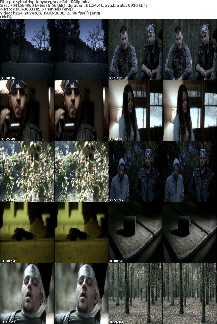 I Spit On Your Grave 3D 2010 1080p BluRay x264-PussyFoot