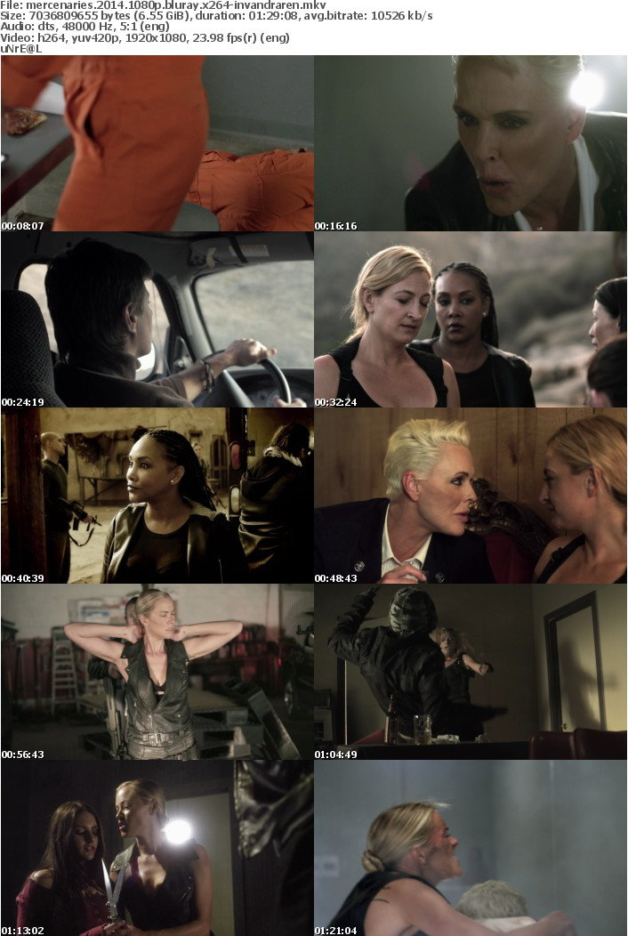 Mercenaries 2014 1080p BluRay X264-iNVANDRAREN