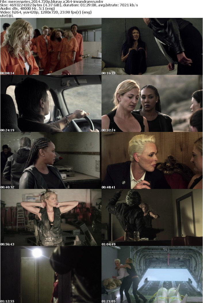 Mercenaries 2014 720p BluRay X264-iNVANDRAREN