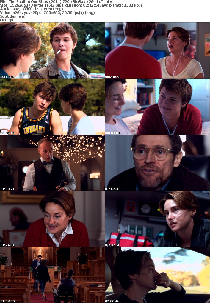 The Fault in Our Stars (2014) 720p BluRay x264 TuT