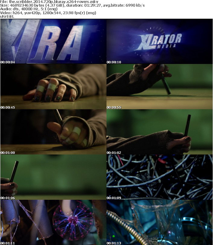 The Scribbler 2014 720p BluRay x264-ROVERS