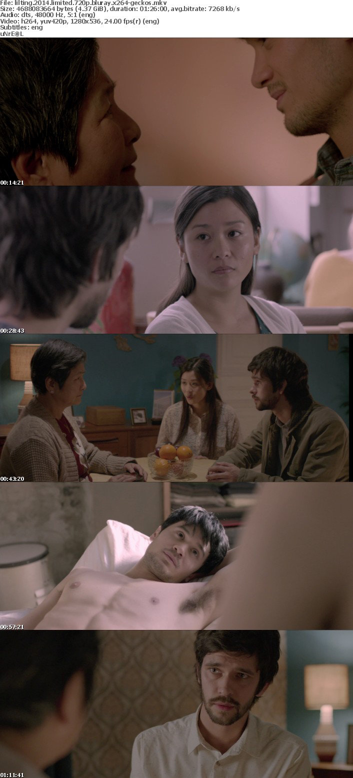Lilting 2014 LIMITED 720p BluRay x264-GECKOS