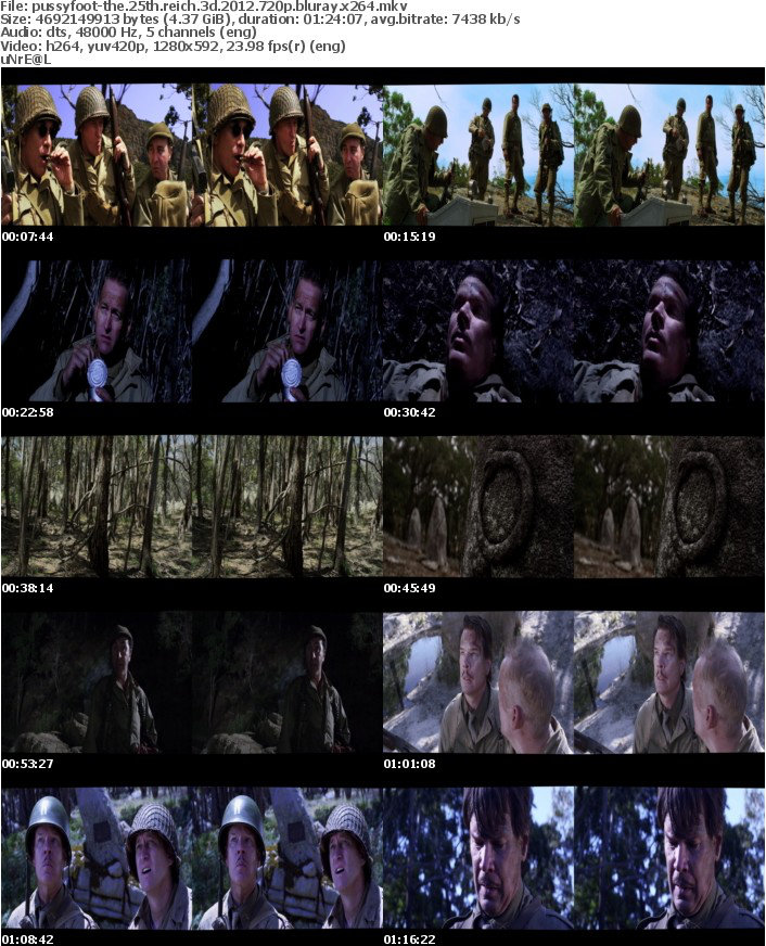 The 25th Reich 3D 2012 720p BluRay x264-PussyFoot