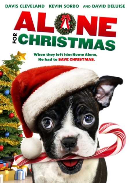 Alone For Christmas 2013 BRRip X264 CrEwSaDe