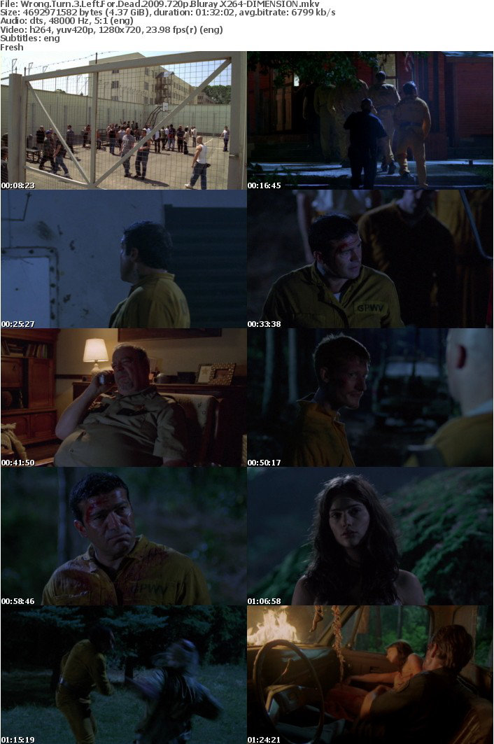 Wrong Turn 3 Left For Dead 2009 720p Bluray X264-DIMENSION