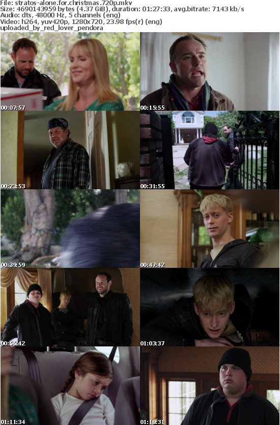 Alone for Christmas 2013 720p BluRay x264-STRATOS