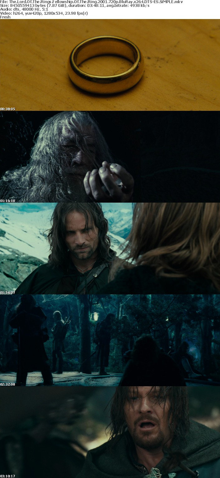 The Lord Of The Rings Fellowship Of The Ring 2001 720p BluRay x264 DTS-ES SiMPLE