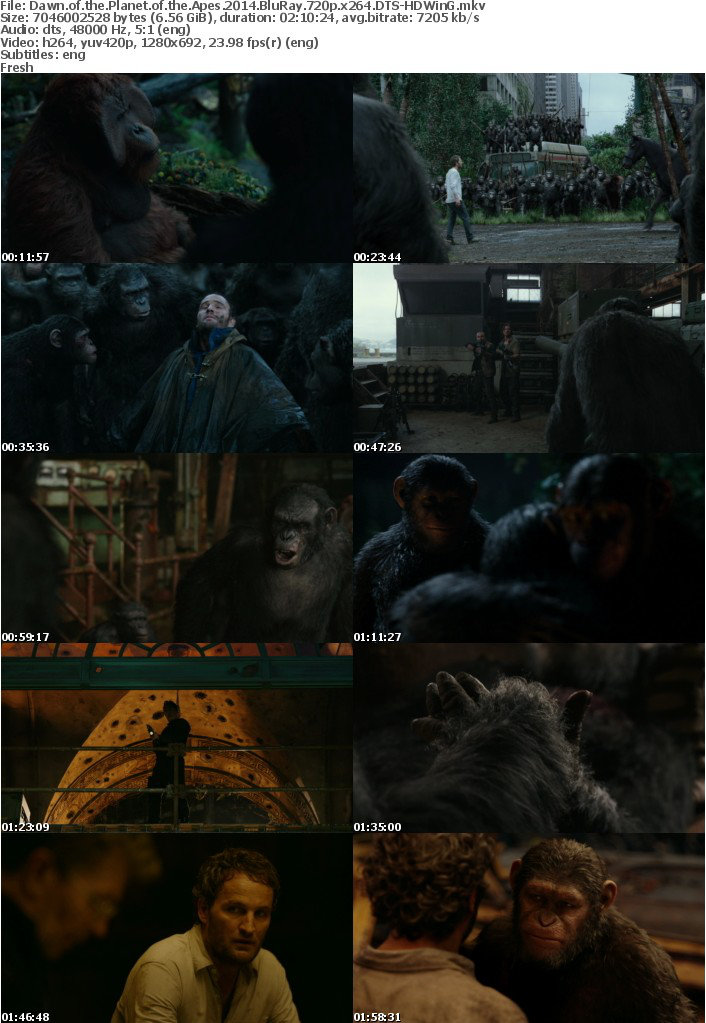 Dawn of the Planet of the Apes 2014 BluRay 720p x264 DTS-HDW