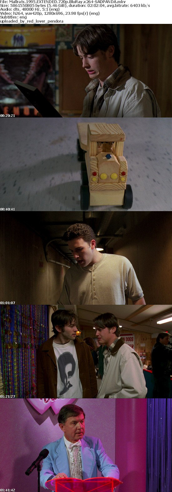 Mallrats 1995 EXTENDED 720p BluRay x264-SADPANDA
