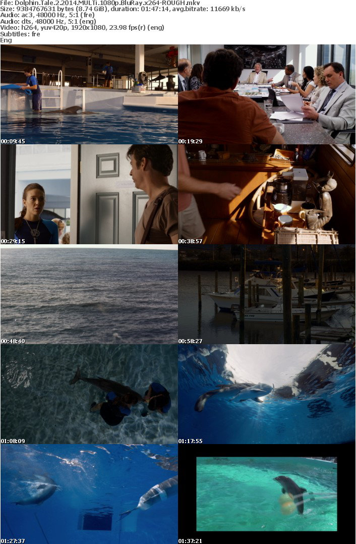 Dolphin Tale 2 2014 MULTi 1080p BluRay x264-ROUGH