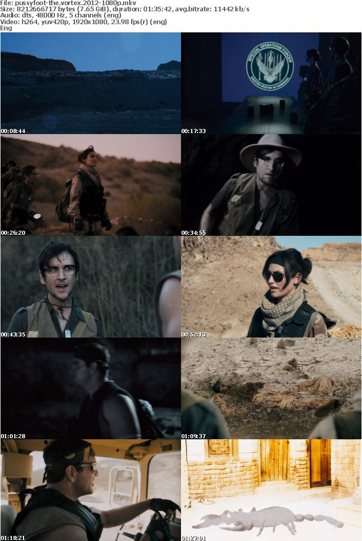 The Vortex 2012 1080p BluRay x264-PussyFoot