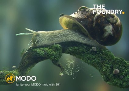 The Foundry Modo 801 SP3 -(Win/Mac)